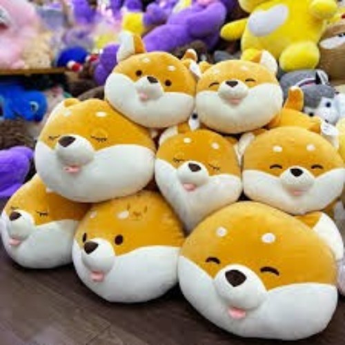 Bộ sưu tập gấu bông chó Shiba Inu Miniso với nhiều biểu cảm đáng yêu.