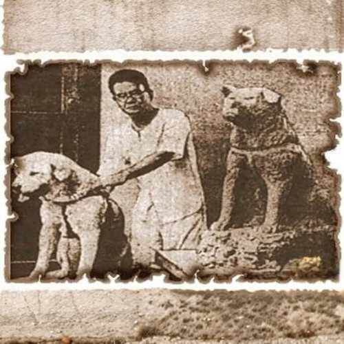Hachiko bên cạnh bức tượng tạc chính mình.