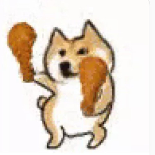 Chó Shiba nhảy với đùi gà trên tay cực đáng yêu.