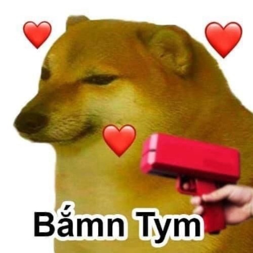 Meme chó Shiba Cheems với dòng chữ "Bấm Tym" hài hước.