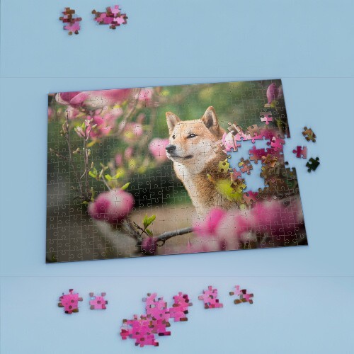 Bộ xếp hình chó Shiba Inu giữa cành hoa hồng, đang được ghép dở.