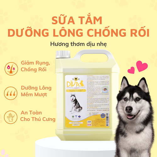 Sữa tắm Diva vàng dưỡng lông chống rối cho chó 260ml