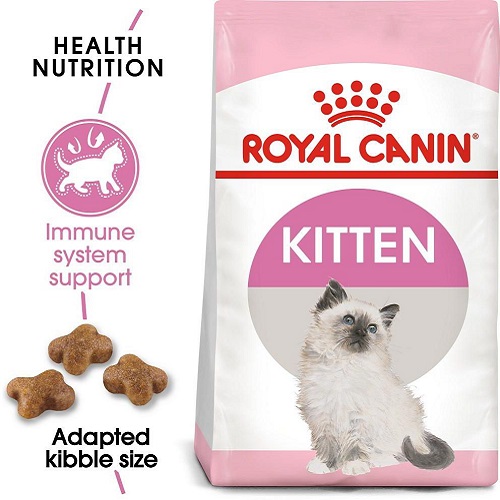 Thức ăn hạt Royal Canin Kitten tăng sức đề kháng cho mèo con