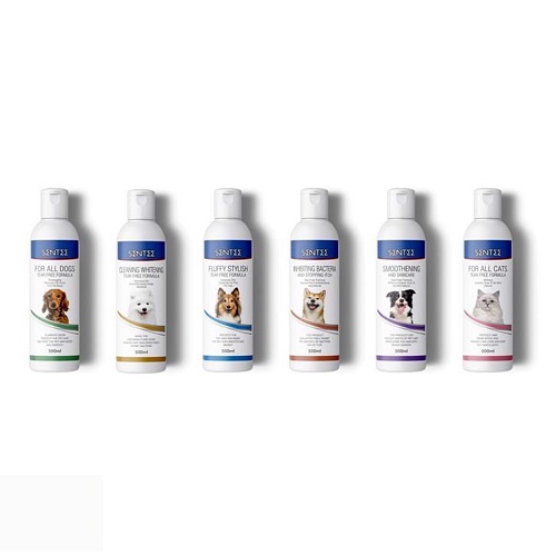 Sữa tắm cho chó Poodle trắng Sentee tại Dogily Pet Shop.