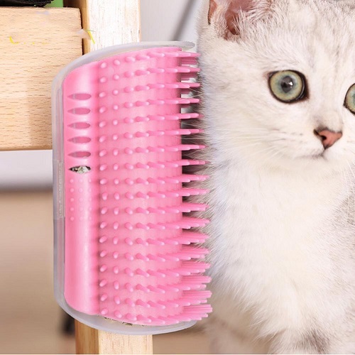 Mèo Anh lông ngắn cọ vào bàn chải lông gắn tường giúp loại bỏ lông rụng