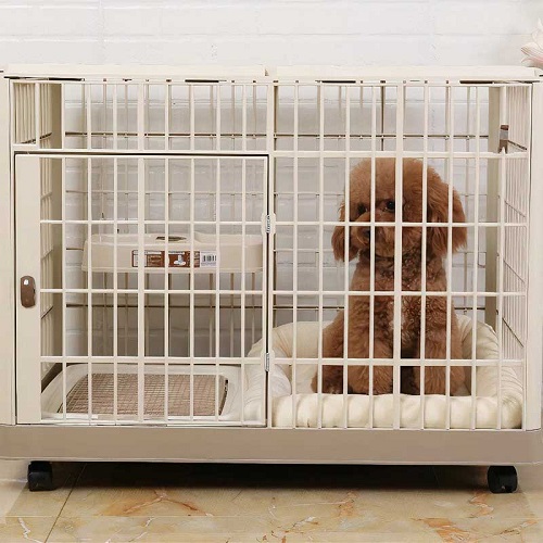 Chuồng nhốt chó Poodle giúp huấn luyện cún đi vệ sinh đúng chỗ, đảm bảo không gian sống sạch sẽ và an toàn.