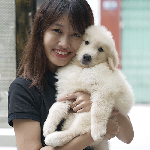 Cô gái ôm chó Golden con màu kem, biểu cảm dịu dàng và đầy tình cảm