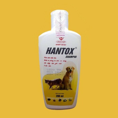 Sữa tắm Hantox trị ve rận và bảo vệ da cho chó Poodle.