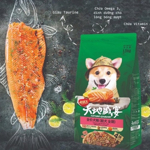 Hạt thức ăn Nature’s Gourmet vị cá hồi bổ sung Omega-3 giúp lông chó Poodle bóng mượt.